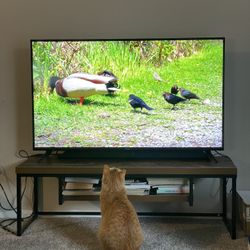 50in Vizio Smart TV