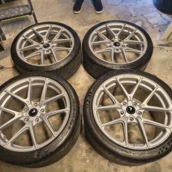 Porsche Tires & Rims