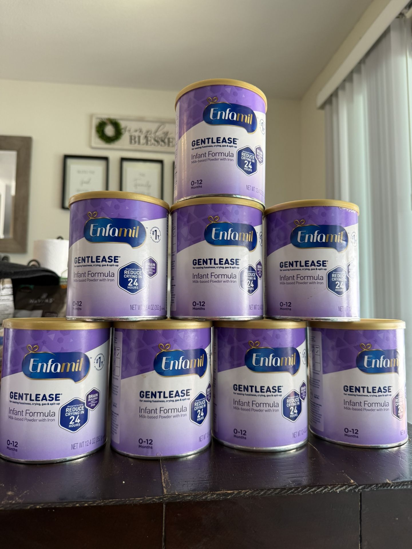 Baby Enfamil