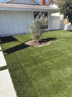 Artificial Turf 