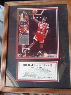Michael Jordan Bulls Memorabilia