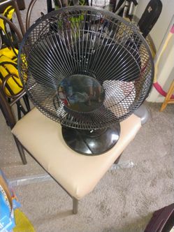 20" H. 15" 3 speed oscillating fun pickup only cash