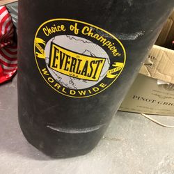 Every last 42 Lb punching bag