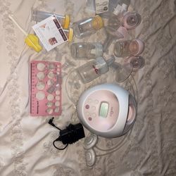 Spectra Bundle
