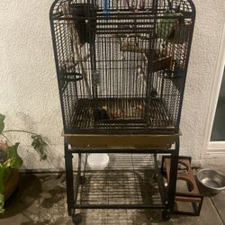 Bird Cage