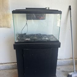 Fish Tank With Holder 