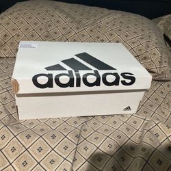 Adidas Shoes