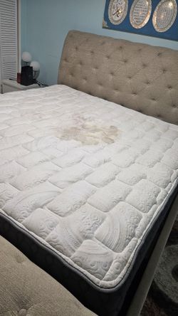 I Clean Dsfec Sofas Remove Stains Matrix Sofas Etc
