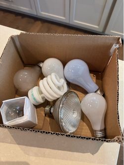Box of all new assorted light bulbs