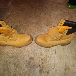 Timberlands For Sale