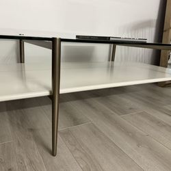 West Elm Mid Century Art Display Coffee Table