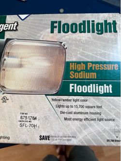 Regent High Pressure Sodium FLOODLIGHT