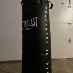 Everlast  punching Bag 