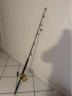 80 lb rod and reel