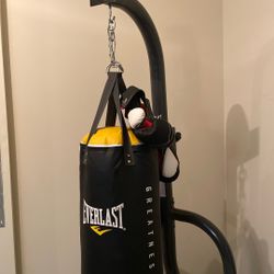 Everlast Punching Bag 