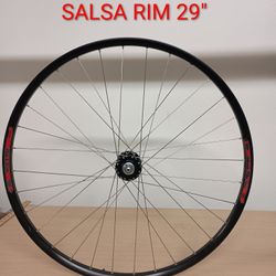 Bicycle Wheel 29" Chris King Hub Salsa Rim 32 Spokes
