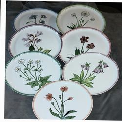 Vintage Set Of Plates. Unknown Creator.  Very Nice.  Set Of 7.