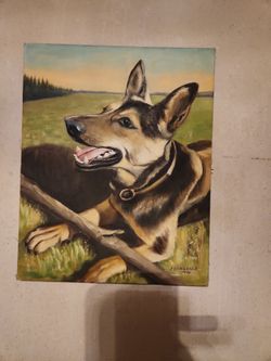 Art German Shepherd playing fetch S.Damgaard 1955