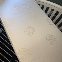 Sealy 2 Stage Crib Mattress