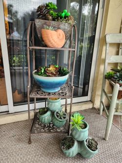 Plant satnd with 5 pots and fake succulents