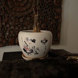 Porscilin Chinese Pot