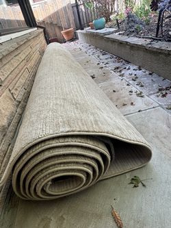 Large area rug, 10' x 14'