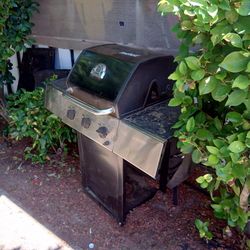 Bbq