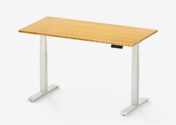 Big Standing desk