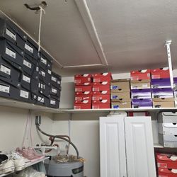 Jordan's, SB Dunks, New Balance