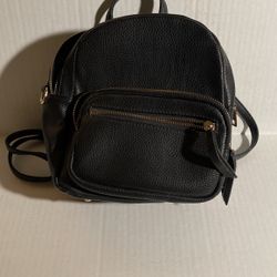 Multifunctional Purse