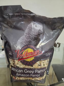 African Grey Food