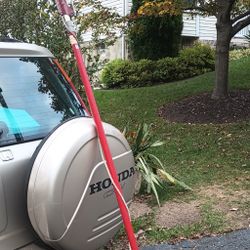Tree Lopper / Tree Pruner for cutting taller limbs