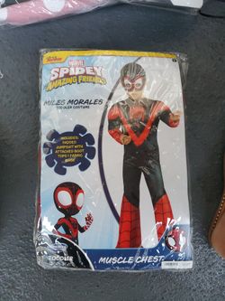 Spiderman Coatume