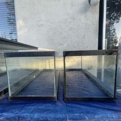20 Gallon Tank