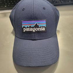 Patagonia large logo
P6 navy blue
stretch fit hat Still like new