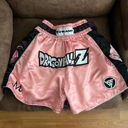 Hypeland DBZ Muay Thai Shorts 🩳 