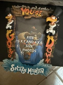 Disney Splash Mountain Picture Frame