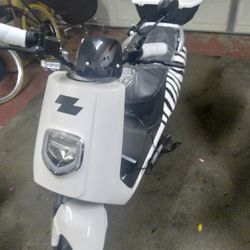 Zebra Electric Scooters