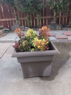 Large Square Plastic Outdoor Planter