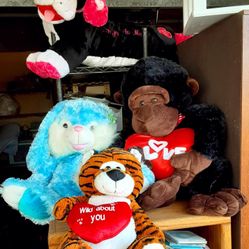 Large Stuffed Animal 