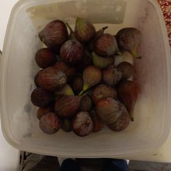 Fresh Figs Forsake.1.50perlb.