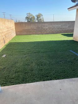 Turf/grass