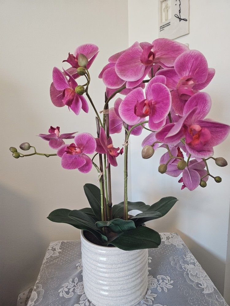 $25.00 - 23" Faux Orchid Plant Decor, Ceramic Planter/Realistic Look!  LOWEST PRICE!