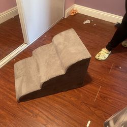 Dog Stairs
