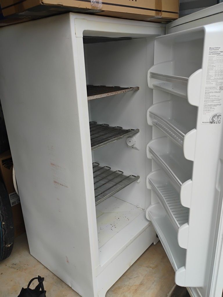 Stand Up Freezer GnE 