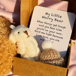 Mini Plush Teddy Bear in Box with Inspirational Card 