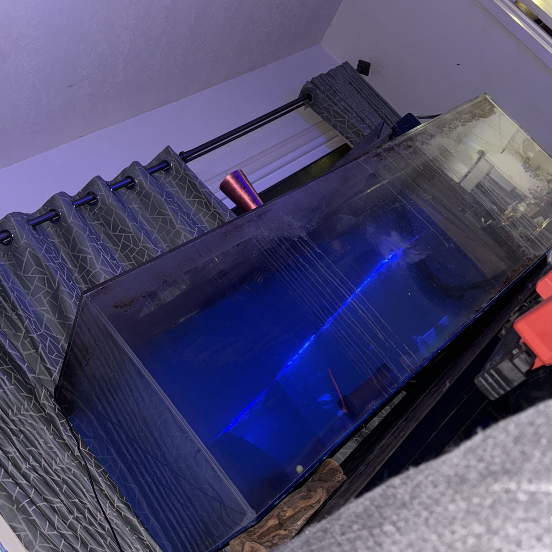 175gallon Acrylic Fish Tank