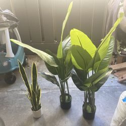 artificial plants, fake plants