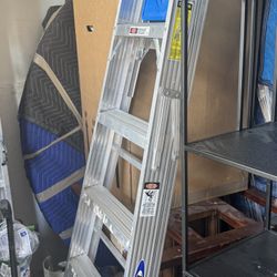 Werner 6 ft. H Aluminum Step Ladder Type I 250 lb. capacity