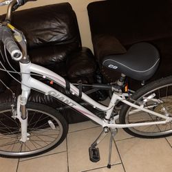 “Giant” Bike